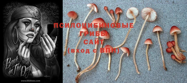эйфоретик Вязники