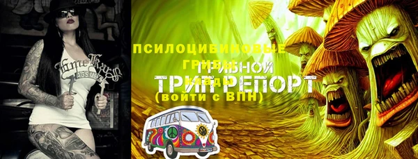 эйфоретик Вязники